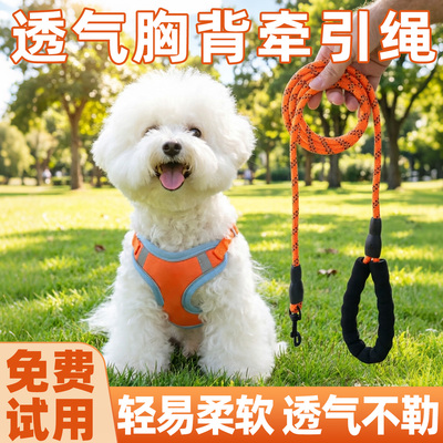 狗狗防挣脱透气胸背牵引绳
