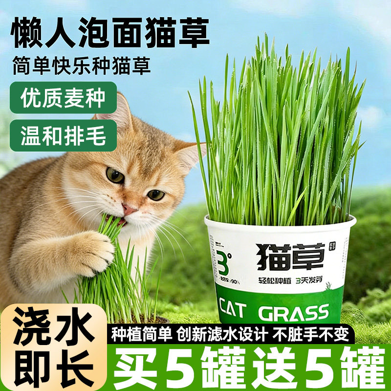 买2盒送2盒!化毛懒人泡面猫草
