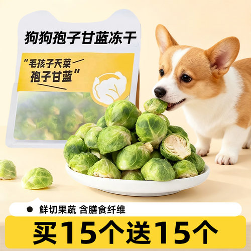 狗狗零食蔬菜冻干孢子甘蓝