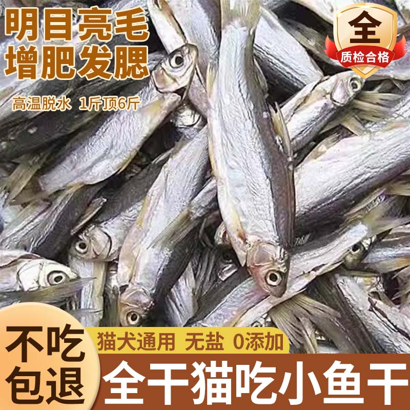 小鱼干猫猫零食宠物冻干多春鱼无盐猫咪增肥发腮补钙磨牙猫粮幼猫 宠物/宠物食品及用品 猫冻干零食 原图主图