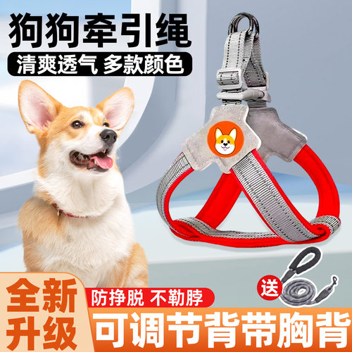 狗狗牵引绳可调节胸背带溜狗绳