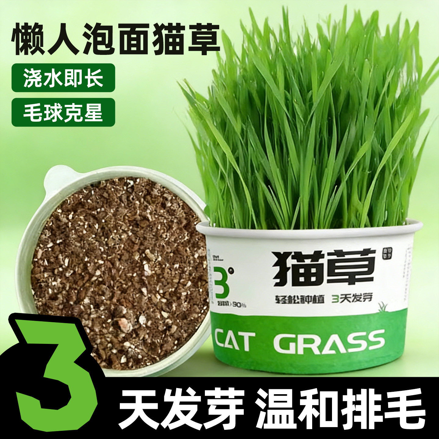 2026泡面猫草盆栽水培懒人助消化毛球新鲜麦种幼猫咪零食薄荷用品