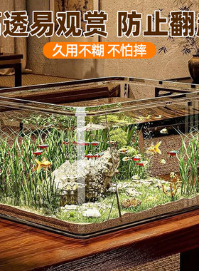 家用鱼缸饲养小金鱼乌龟
