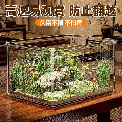 鱼缸客厅小型桌面金鱼乌龟饲养鱼缸客厅2026新款溪流生态塑料鱼缸