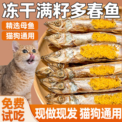 冻干多春鱼猫咪零食小鱼干