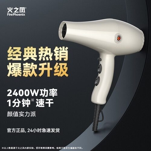 火之凤8960h电吹风机大功率家用发廊速干静音恒温护发2400W风筒