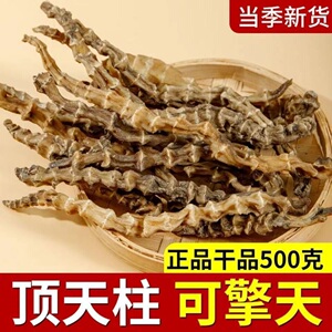 【回春草】顶天柱 不老草硬的快云南野生 持久泡茶泡酒料配起阳