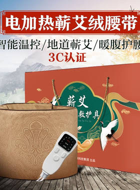暖宫艾绒腰带电加热艾灸宝腰部宫寒调理艾草包热敷袋家用熏蒸仪器