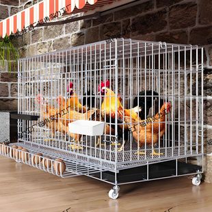 鸡笼子家用室外大号自动清粪养鸡笼鸭笼子室内小鸡鸽子笼子鸡窝笼