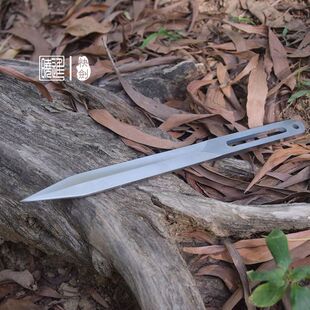 飞镖户外运动武术投掷飞刀专业训练成人户外唐门暗器飞针直飞