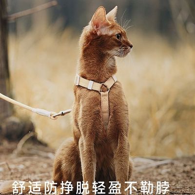 猫咪牵引绳防挣脱外出溜遛小猫工字型胸背绳子可调节专用