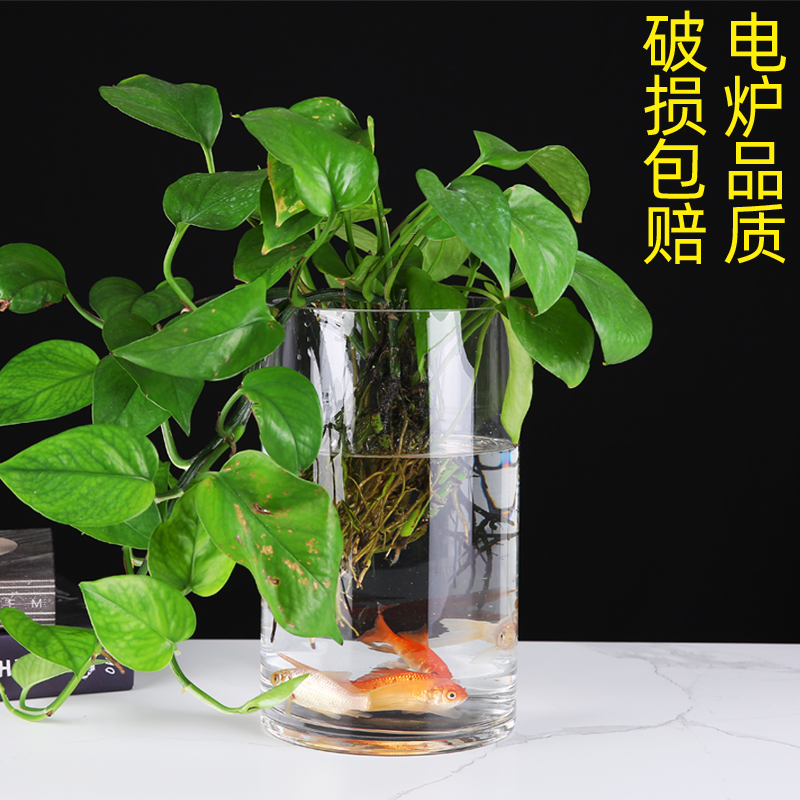 创意加厚直筒玻璃鱼缸圆柱形大号客厅落地花瓶水培透明玻璃摆金小