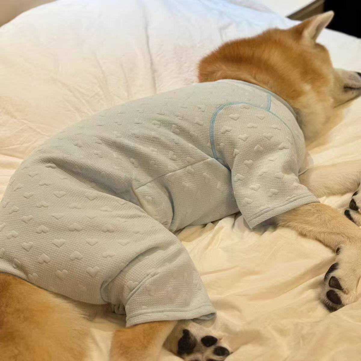 大狗衣服秋冬款金毛秋田拉布拉多中大型犬狗狗防掉毛四脚衣服装潮