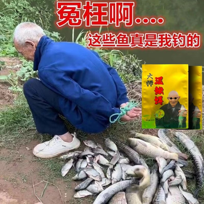 正品大师精华泥鳅鲫鱼野钓鲤鱼鱼饵黑坑罗非钓鱼饵料诱鱼专用