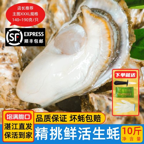 鲜活生蚝10斤特大顺丰包邮