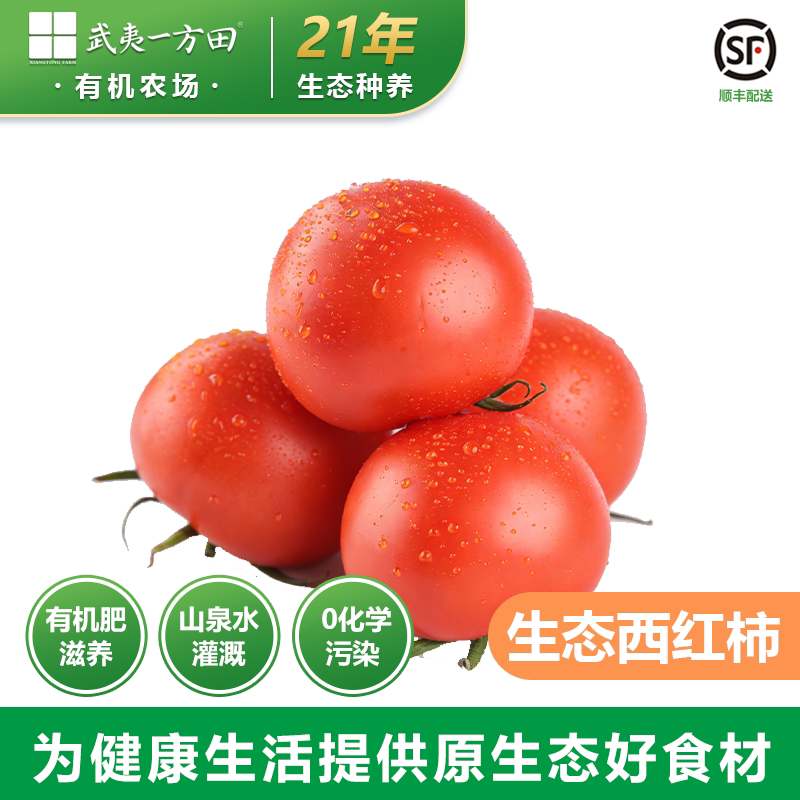 武夷一方田生态西红柿 有机肥种植果实饱满新鲜带蒂番茄酸甜多汁