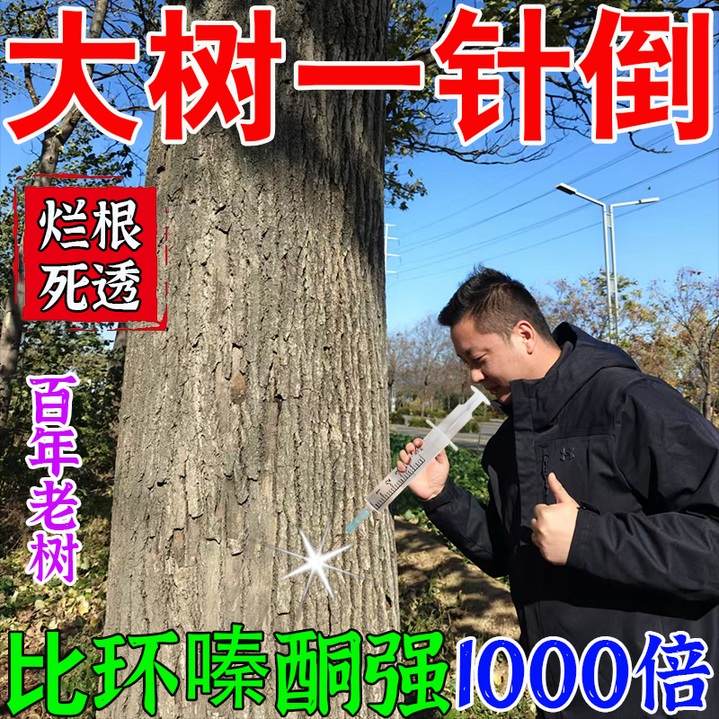 大树烂根药烂树根腐蚀剂大树除树强力除草灌木竹子枯树王专用神器