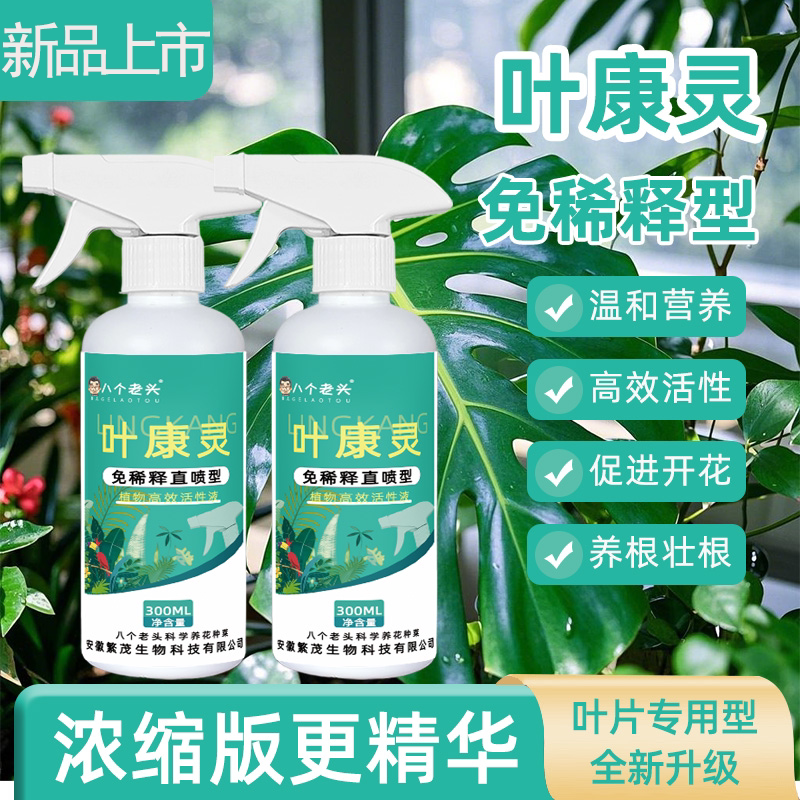 叶康灵喷剂月季花病虫害常用药兰花茶花桂花黄叶黑斑病植物营养液