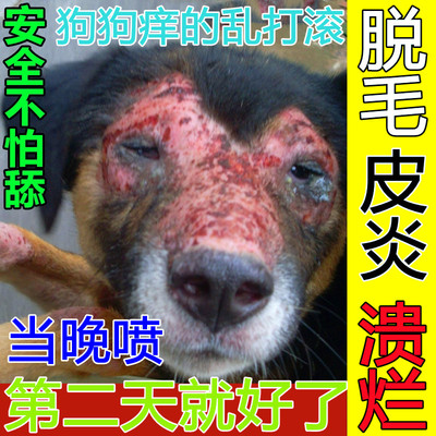 狗身上长癣皮肤病外用药治疗狗癣皮炎真菌感染脱毛红疹猫专用喷剂