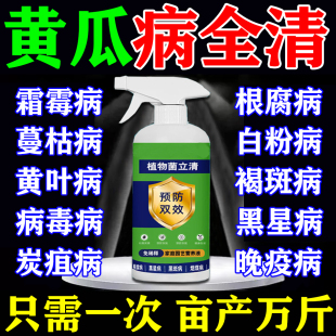 黄瓜病害清治疗黄瓜杀虫白粉靶斑黄点病毒病专用特效药全治叶面肥