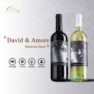 大卫 Amore干红葡萄酒意大利阿布鲁佐原瓶进口红酒送礼 爱慕David