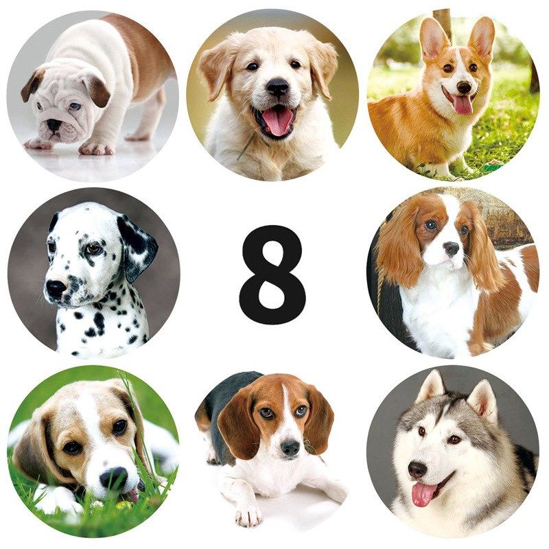50-500pcs cute animal dog stickers jungle party birthday gif