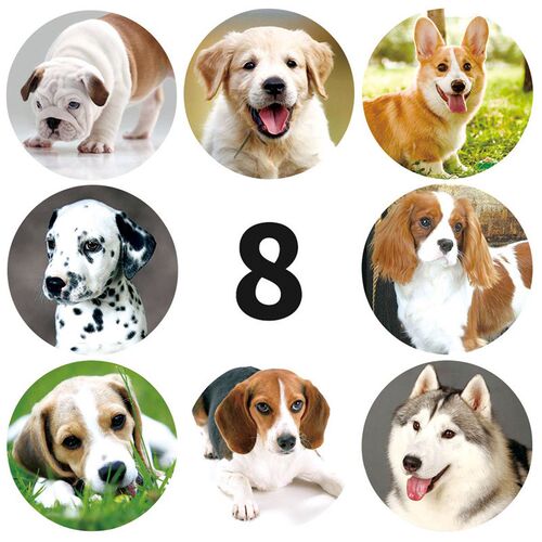 50-500pcs Cute Animal Dog Stickers Jungle Party Birthday Gif