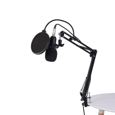 unidirectional condenser microphone arm stand studio mic