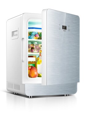 20L car refrigerator 2019 new 12V 220V car dual-use Cooler B