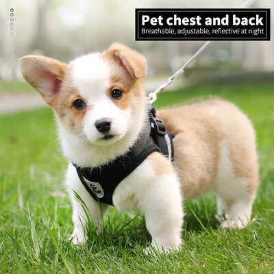 Household supplies pet supplies dog supplies pet dog tractio
