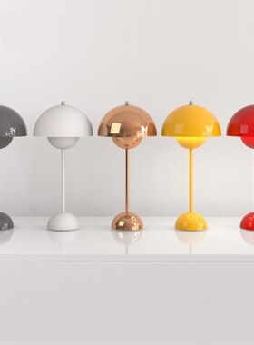 Modern Simple LED Table Lamp Colorful Flowerpot Lacquered Ta