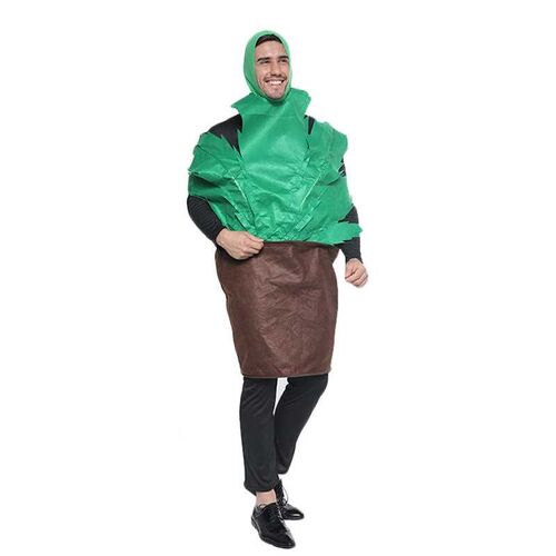 Reneecho Adult Cactus Costume Men Plant Pot Cosplay Hallowee