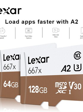 Professional Memory Card 667x SDXC UHS-I Micro SD Card With