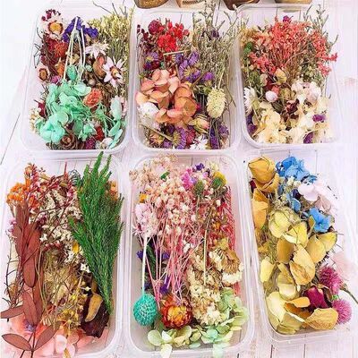 Real Dried Flower Aromatherapy Jewelry Making DIY Material F