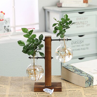 Terrarium Hydroponic Plant Vases Vintage Flower Pot Transpar