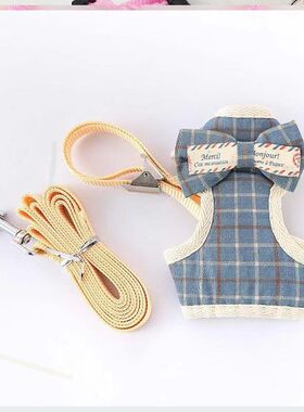 Puppy dog lead rope teacup dog Chihuahua puppy dog walking