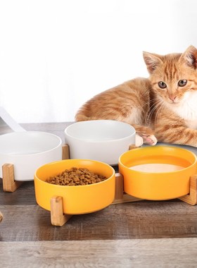 Bowl Drinker Automatic Water Dog Food Feeder Drinker Pet