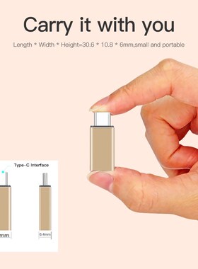 Mini OTG Adapter Type C to Lighting Male For iPhone 7 8 X 11