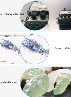 50x-1000x Tablet Magnifier Wifi USB 8 Adjustable LED Handhel