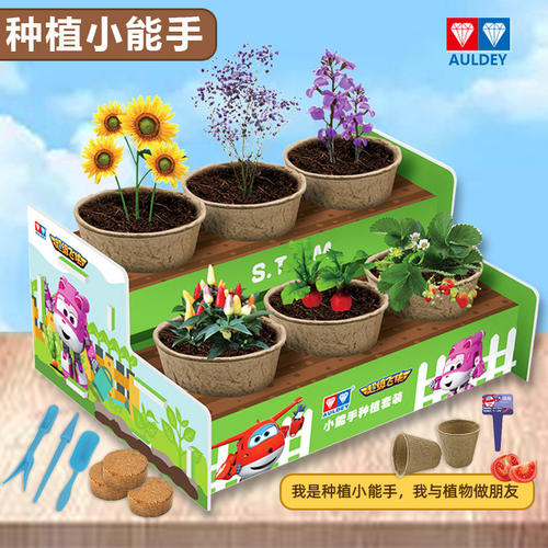 奥迪双钻超级飞侠种植小