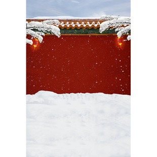 新年儿童古装拍照背景布影楼摄影红色宫墙背景纸女童古装影楼室内拍照道具故宫雪景MH-0808