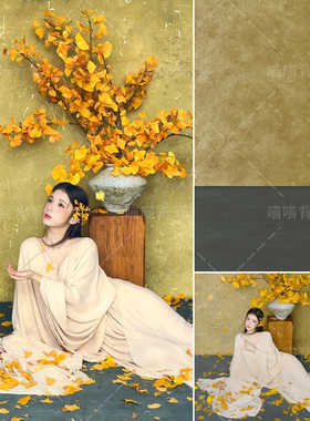 黄色肌理油画水泥墙新中式国风少女写真背景布秋冬枫叶破败感氛围感东方美学高级感影棚室内秋日道具MH-3271
