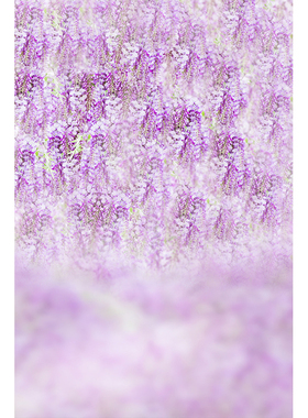 粉色春天樱花少女写真影棚室内个性创意写真背景布可定制大尺寸喷绘新款MH-1260