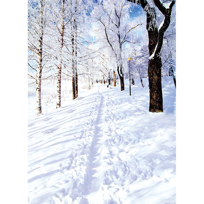 影楼雪景背景布圣诞主题拍照冬天森林室内无纺布喷绘写真布工作室摄影成人儿童小红书阳光温暖山林脚印包邮