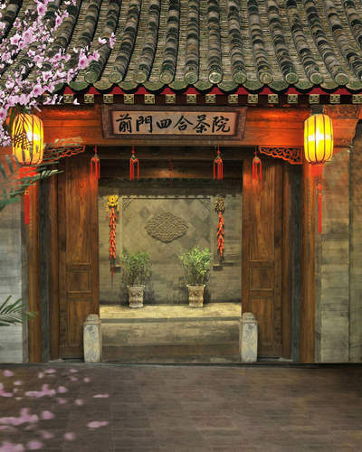 新年全家福中国背景布古装拍照