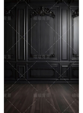 黑色浮雕影楼婚纱摄影拍照背景布复古直播间背景墙影室内影棚墙面拍照3d石膏墙艺术照氛围感高级感MH-3113
