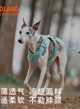 ZOOLAND狗狗胸背牵引绳工字遛狗小中大型犬防爆冲挣脱宠物牵狗绳