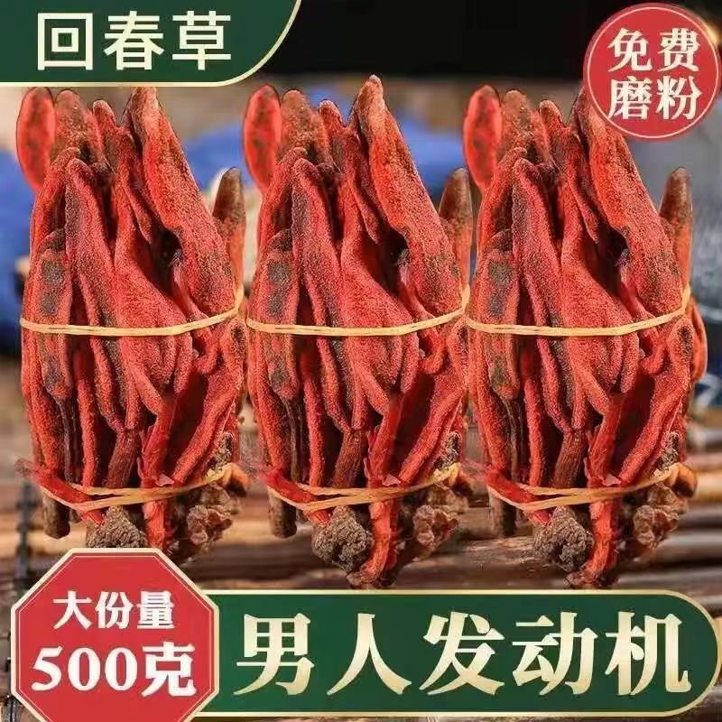 正品云南回春草500g克官方旗舰店泡水泡酒非野生肉苁蓉锁阳中药材 传统滋补营养品 其他药食同源食品 原图主图