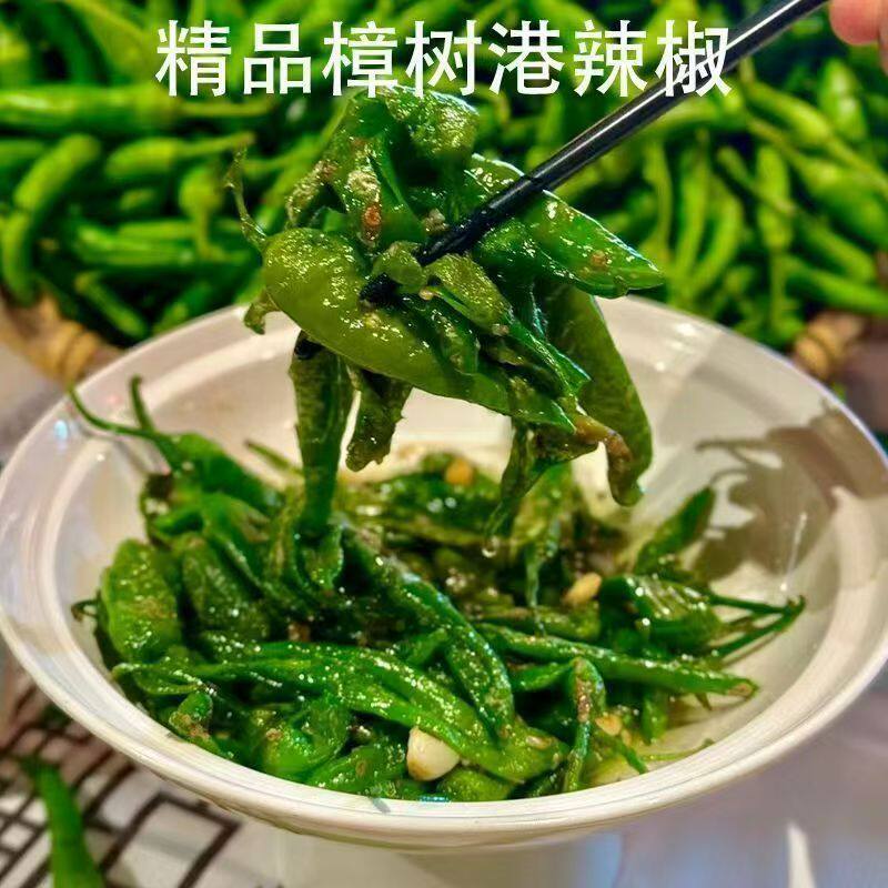 湖南正宗樟树港辣椒现摘新鲜炒肉