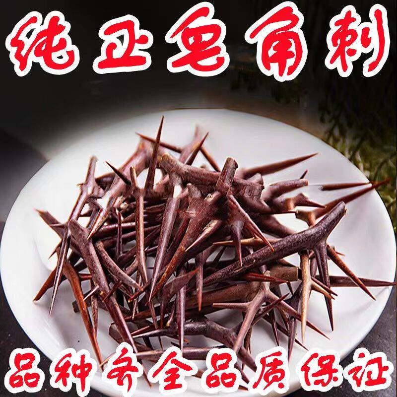 皂刺纯刺皂角刺皂荚刺 天丁皂刺新货皂角刺正品纯刺皂角树刺